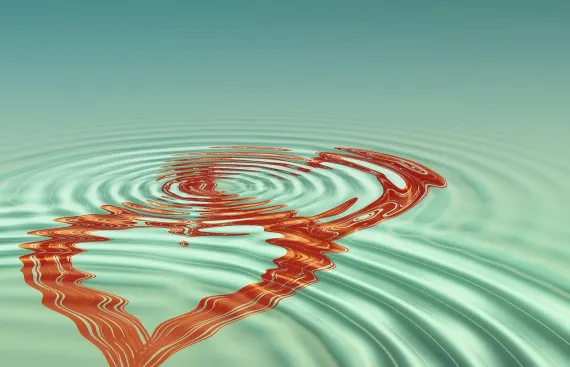 בינגו קומ קזינו תמיכה